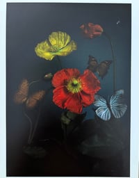 Poppies and Butterflies - test print 5x7