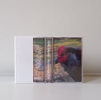 Image 1 of SORE DREAM "NEVER FOR YOU" REPRESS