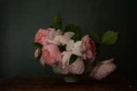 Still Life with Pink Peony and Roses no. 1 - test print 5x7
