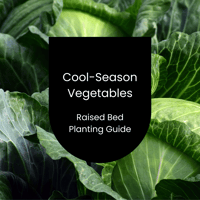 Image 1 of Cool-Season Raised Bed Planting Layout