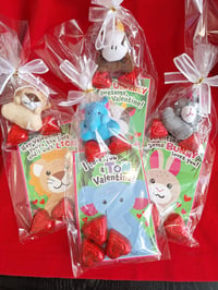 Mini plush Valentine animals with cards and chocolates!