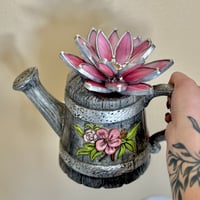 Image 3 of Pink swirl succulent 
