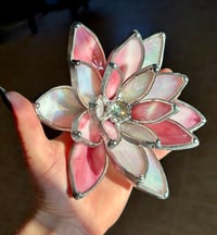 Image 2 of Pink & opal white succulent 