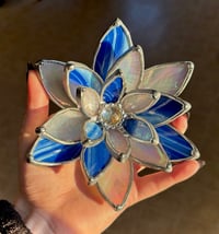 Image 1 of Blue and opal white succulent 