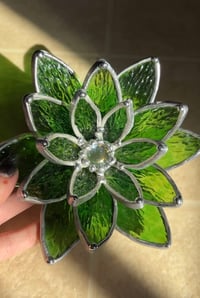 Image 1 of Green succulent 