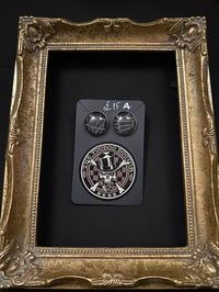 Image 3 of Preserved Web earrings - Stainless Steel Studs - 5 Pairs available