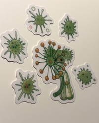 Image 2 of Bacteria Clear sticker set 