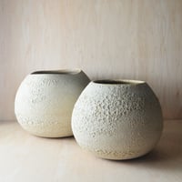 Image 3 of textured vessels