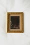 Image of midnight blossoms