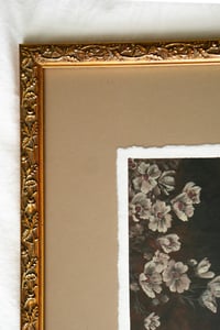 Image 4 of midnight reflection