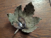 Image 1 of Sycamore leaf bowl