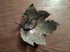 Sycamore leaf bowl Image 2