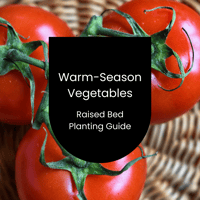Image 1 of Warm-Season Raised Bed Planting Layout
