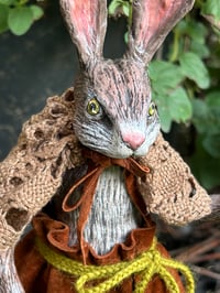 Image 2 of Oscar the Hare