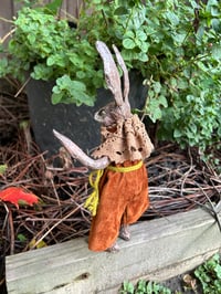 Image 5 of Oscar the Hare