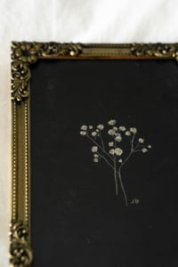 Image 2 of dainty