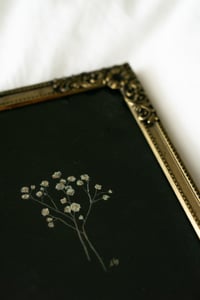 Image 3 of dainty