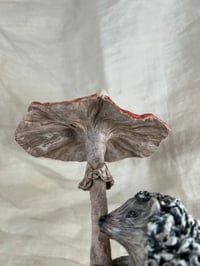 Image 5 of Hedgehog with Mushroom Umbrella