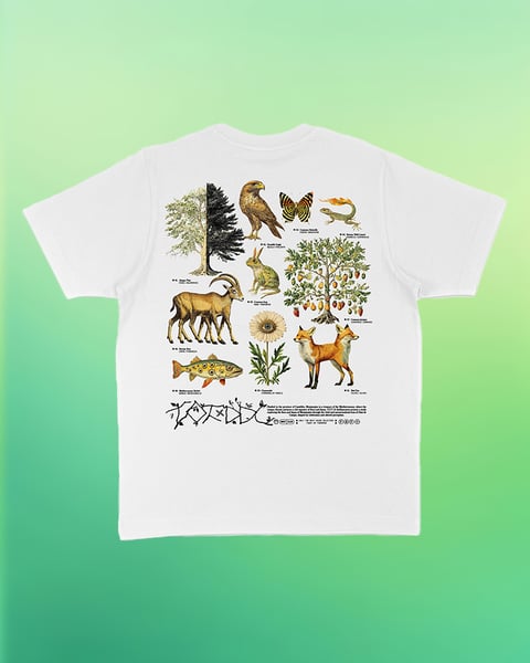 Image of DDC25 x T.O.T White Tee