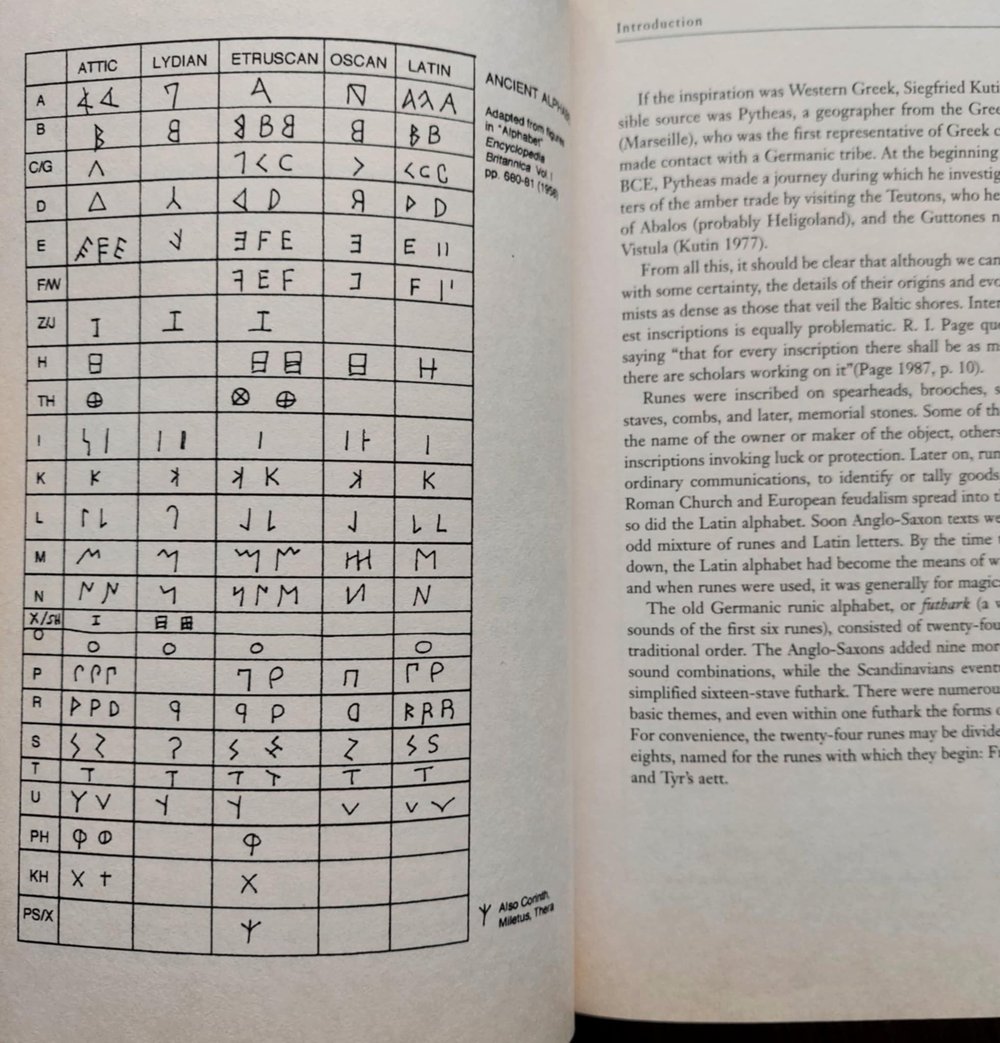 Taking Up the Runes: A Complete Guide to Using Runes in Spells, Rituals, Divination, and Magic