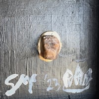 Image 3 of All That Comes from a Stone