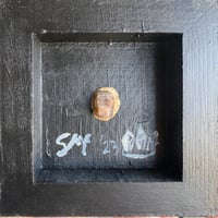 Image 4 of All That Comes from a Stone