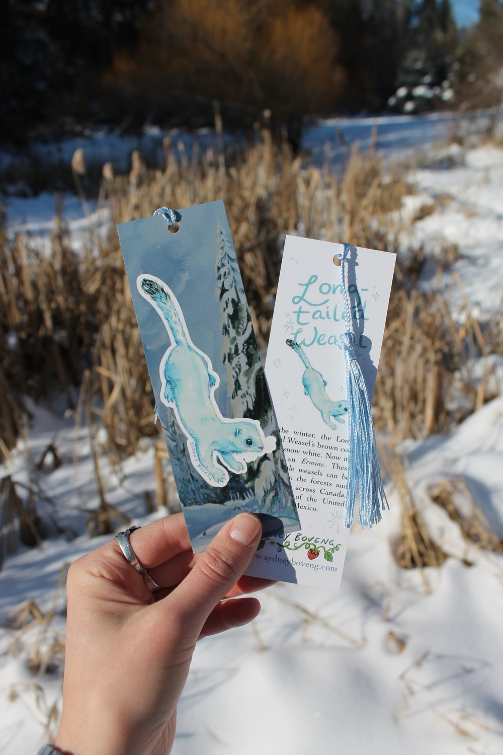 Image of Ermine Bookmark