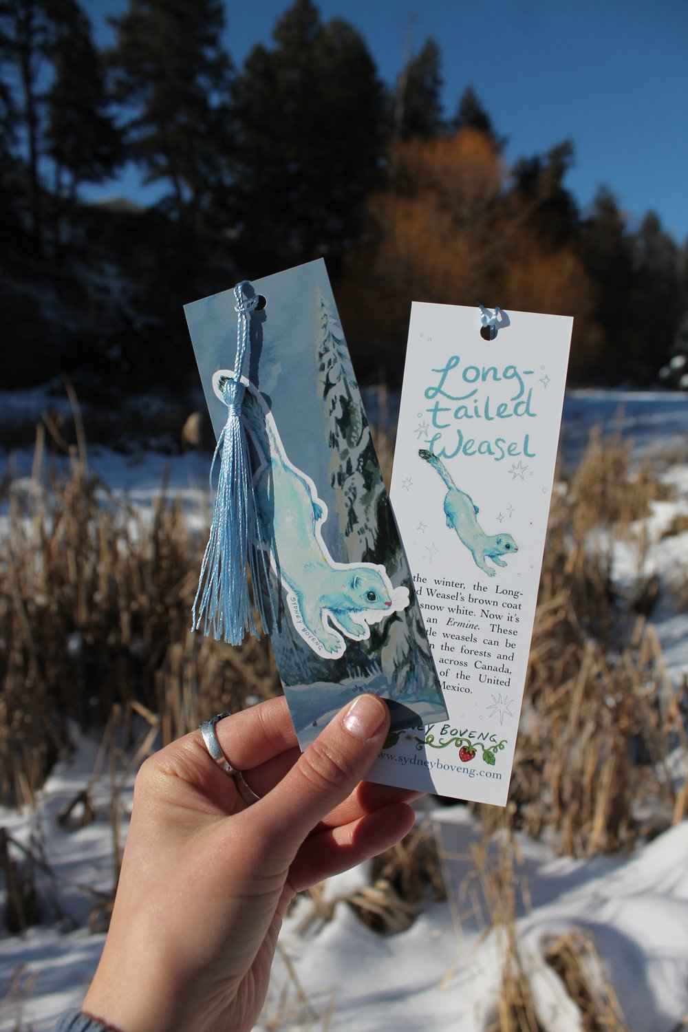 Image of Ermine Bookmark