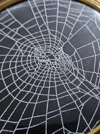 Image 2 of Large Vintage decorative glass Jar with  Real Preserved Web