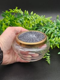 Image 1 of Large Vintage decorative glass Jar with  Real Preserved Web