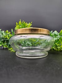 Image 3 of Large Vintage decorative glass Jar with  Real Preserved Web
