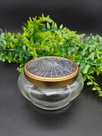 Image 5 of Large Vintage decorative glass Jar with  Real Preserved Web