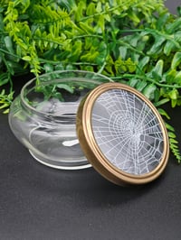 Image 4 of Large Vintage decorative glass Jar with  Real Preserved Web