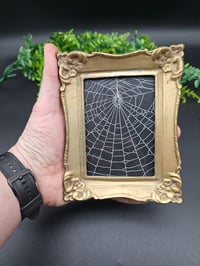 Image 1 of Vintage ornate corner detail brass framed preserved web - B