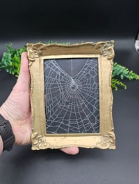Image 2 of Vintage ornate corner detail brass framed preserved web - A