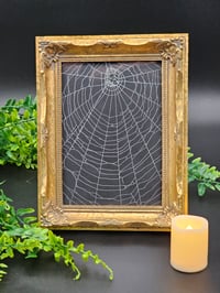 Image 2 of Ornate Gold stunning black framed preserved web - 1