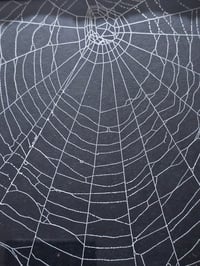 Image 4 of Ornate Gold stunning black framed preserved web - 1