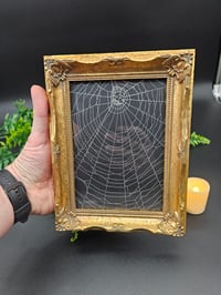 Image 1 of Ornate Gold stunning black framed preserved web - 1