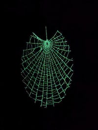 Image 1 of GLOW in The Dark Oval Framed Spider Web