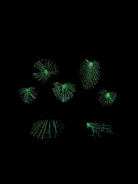 Image 3 of GLOW in The Dark Oval Framed Spider Web