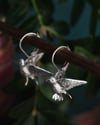 Songbird Earrings