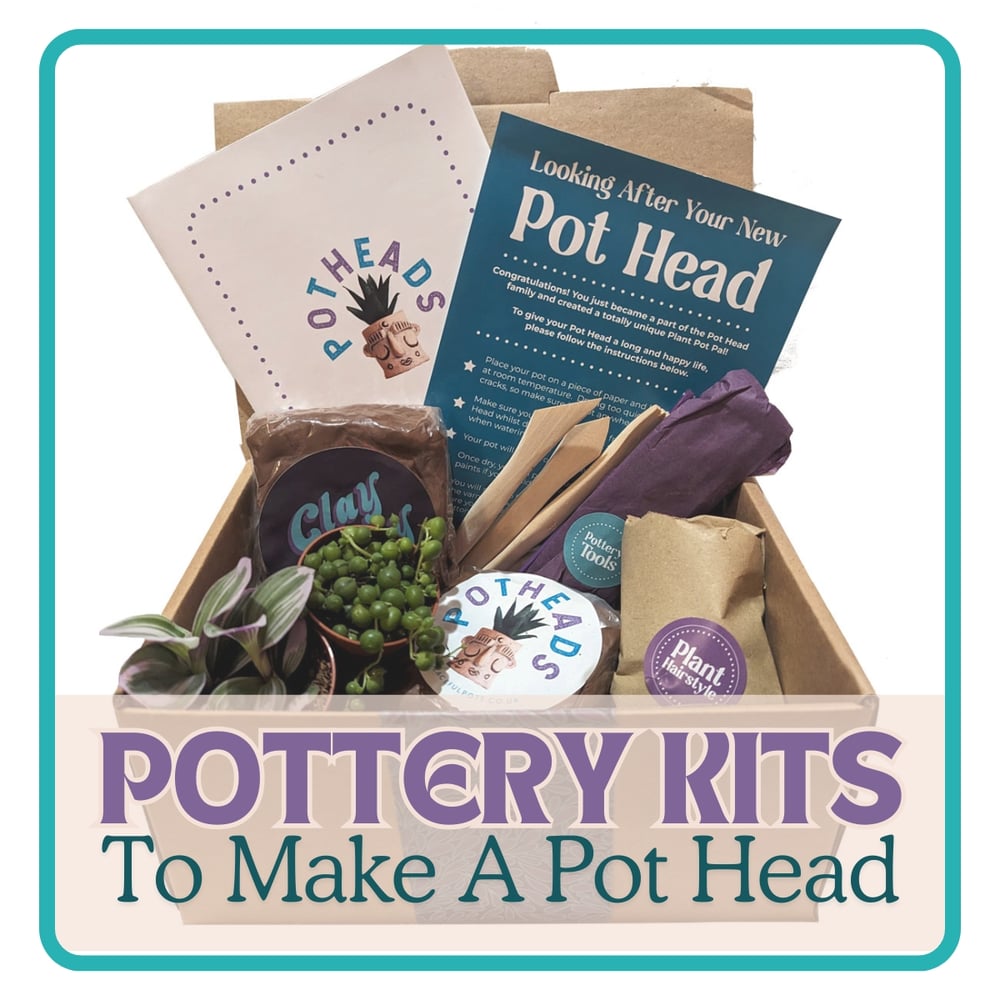 Image of Make A Pot Head At Home - Complete Pottery Kit With Plants & Video Workshop