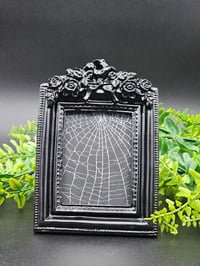 Image 1 of Rectangle Gothic black ornate framed preserved web