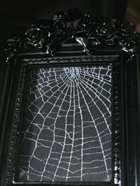 Image 4 of Rectangle Gothic black ornate framed preserved web