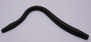 Image of HUGE 8.8" MOJO Worm 6pk