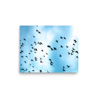 Image 1 of #30