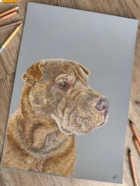 Image 2 of Custom Pet Portraits