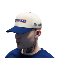 Image 2 of Buffalo Mafia