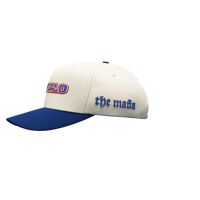 Image 4 of Buffalo Mafia