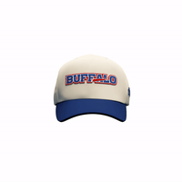 Image 1 of Buffalo Mafia